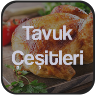 Tavuk Çeşitleri